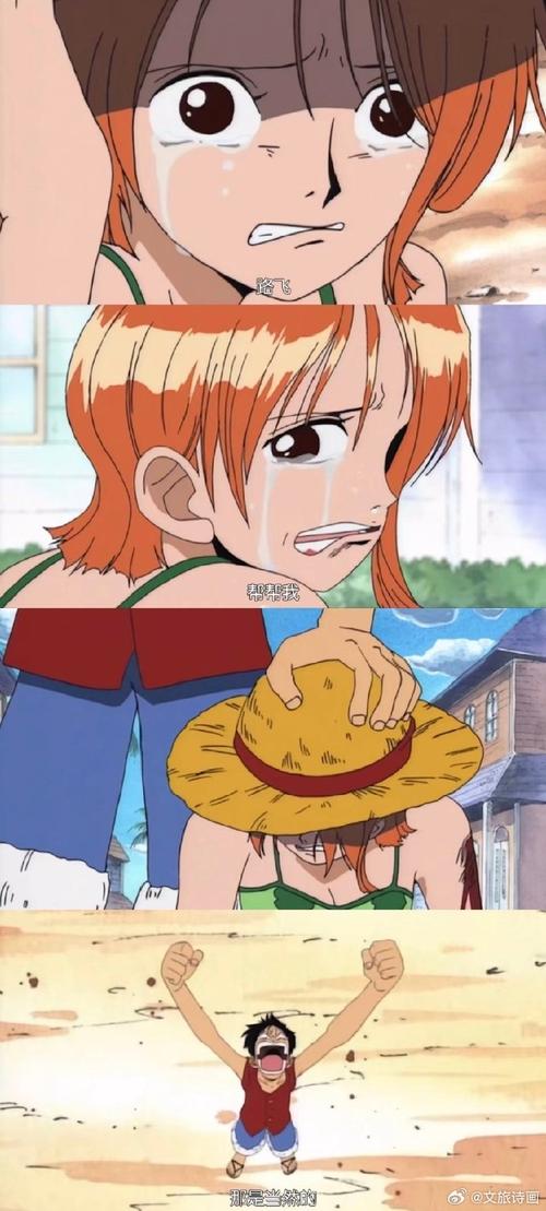 我的海贼王:航海日志,记录我的热血冒险