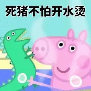 冷水烫猪是什么意思？详解成语冷水烫猪的含义