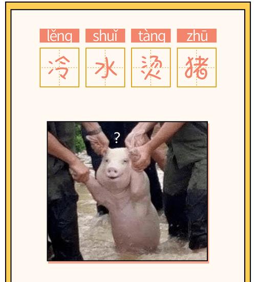 冷水烫猪是什么意思？详解成语冷水烫猪的含义