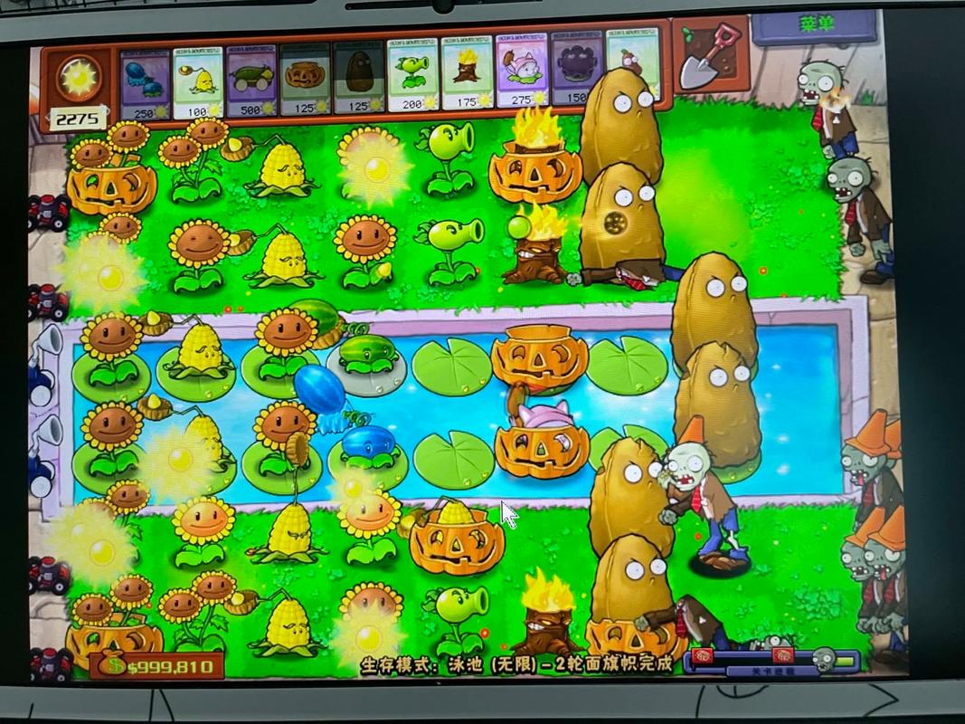 好玩的植物大战僵尸pvz版:策略战斗,乐趣无限!