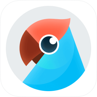 有道翻译器下载:免费好用又方便