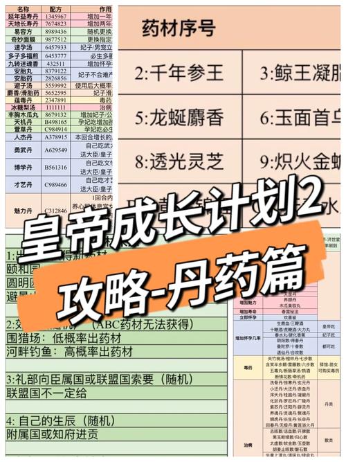 皇帝成长计划2全攻略:从新手到高手,称霸天下!