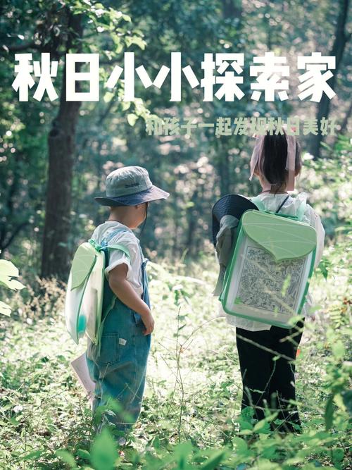 秋日森林探索：寻宝探秘，体验刺激生存挑战