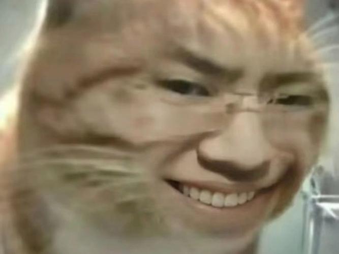 想听小野猫N上版本？这里有你想要的全部版本