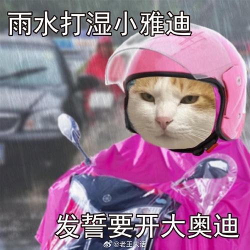 微信表情雨大全:各种表情掉落技巧,聊天更有趣!