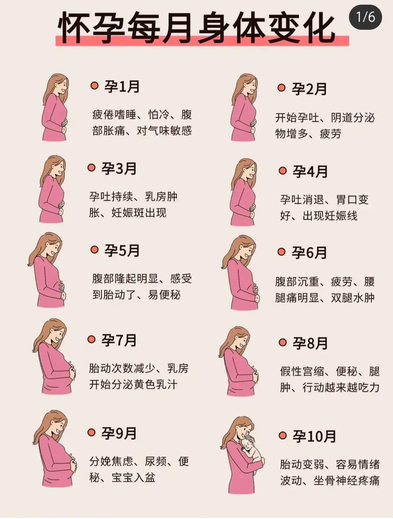 想怀孕？这十个怀孕app帮你轻松备孕怀孕