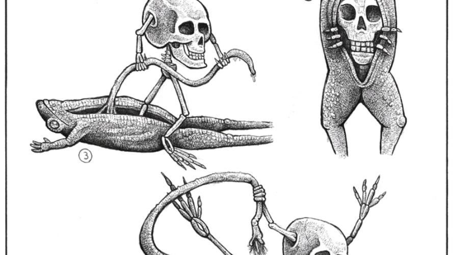 好玩又刺激的内部寄生虫杨过游戏推荐