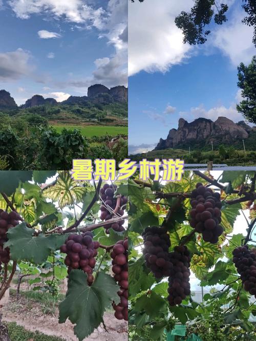 乡村生活的快乐暑假游戏：和小伙伴一起的夏日冒险