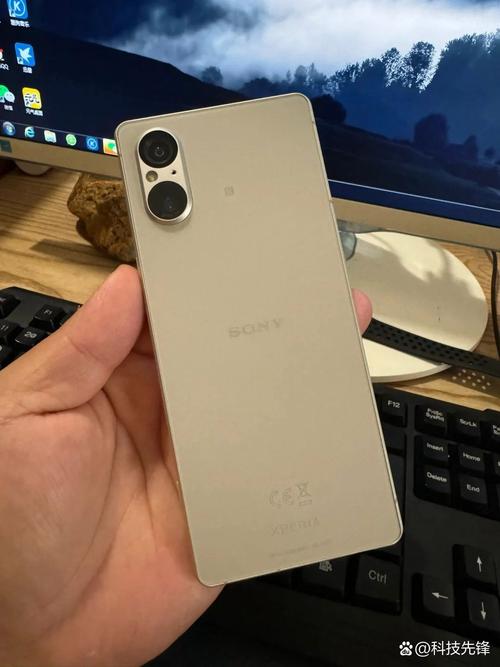 SOAV65版本大全免费下载:无需注册,直接下载使用