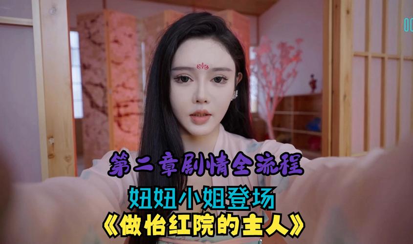 想做怡红院的主人？这款绅士游戏满足你