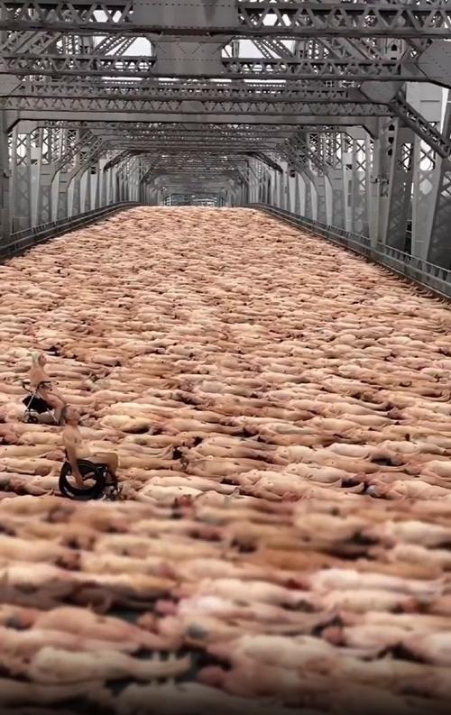 想下载裸体学院裸体学校?小心陷阱,安全下载方法详解