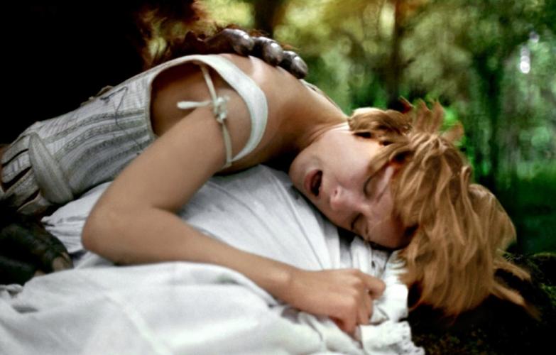 还在找阳光下的野兽下载地址?这里有你想要的!