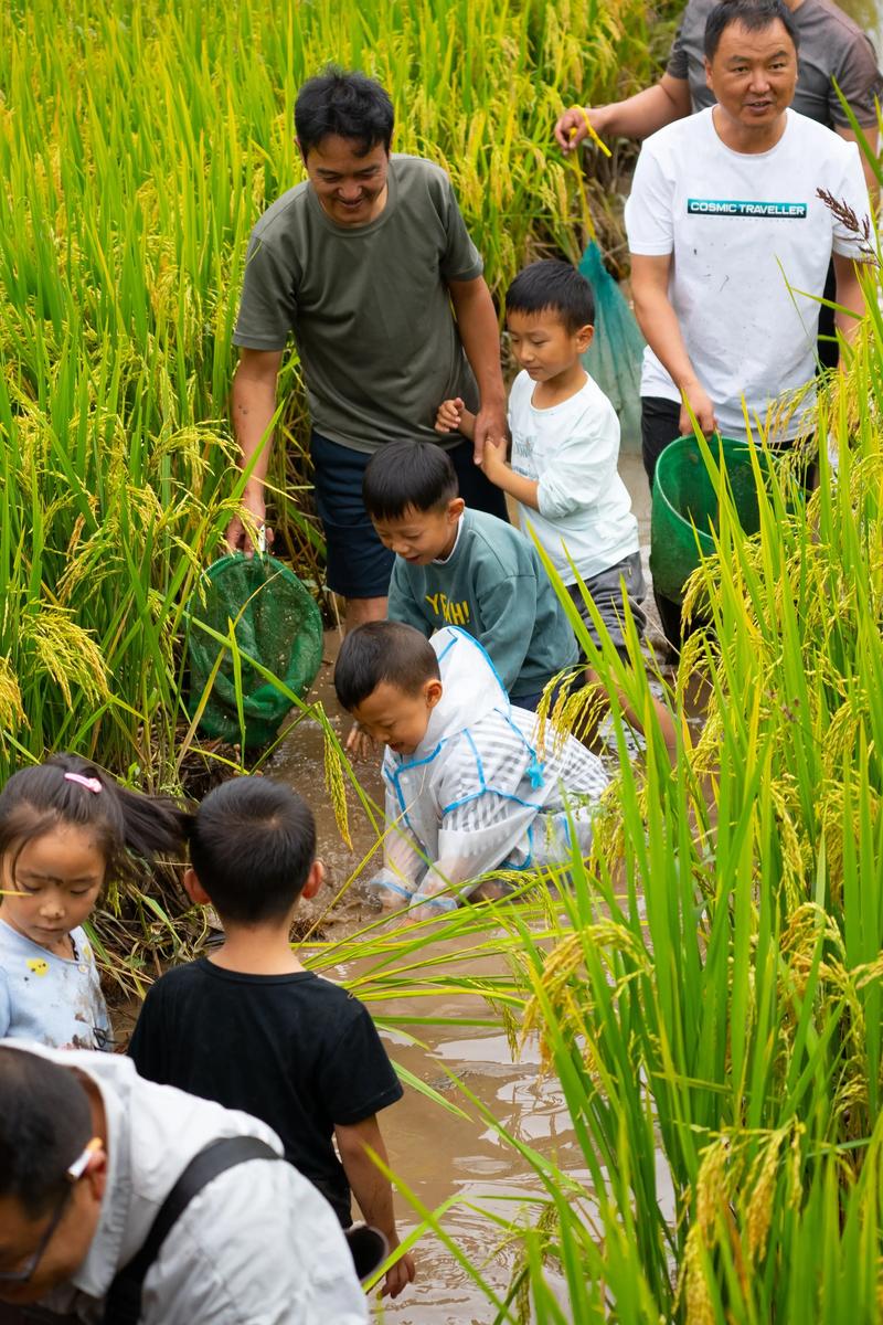 想体验乡村快乐暑假?游戏下载地址都在这里!