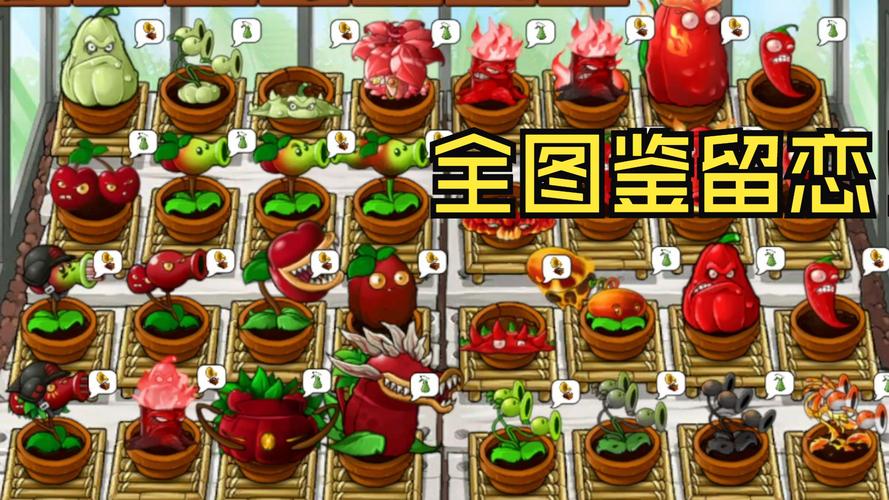 精英花园所有版本汇总:安卓、PC版下载及常见问题解答