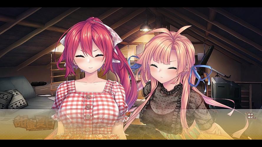 解锁甜蜜:夏日回忆游戏深度解析与玩家评价