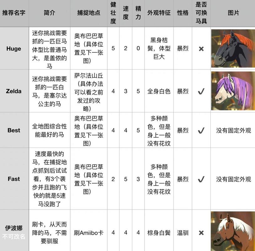 塞尔达传说四种特殊马图鉴:外观属性大揭秘