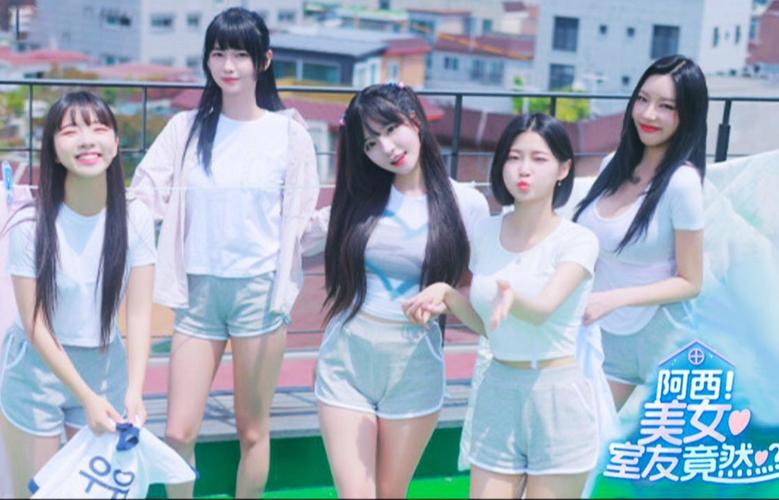 阿西美女室友下载地址及安装教程：简单易懂