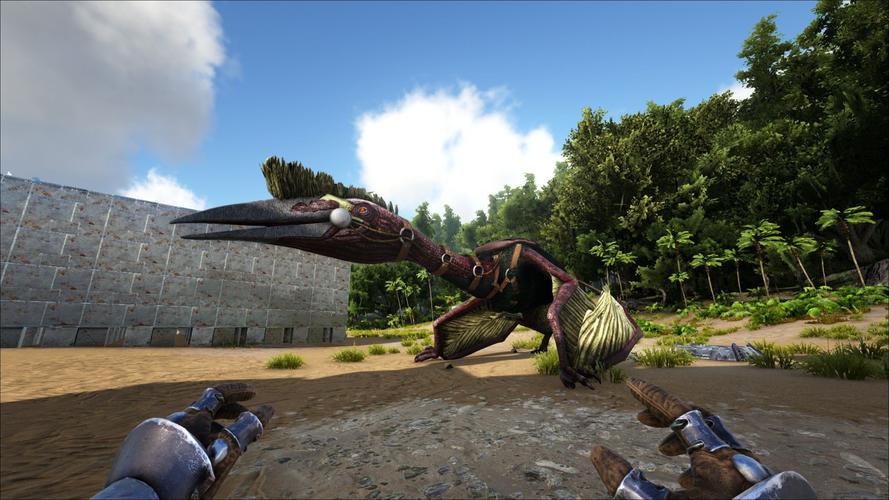 方舟生存进化：翼龙快速驯养指南及食物选择