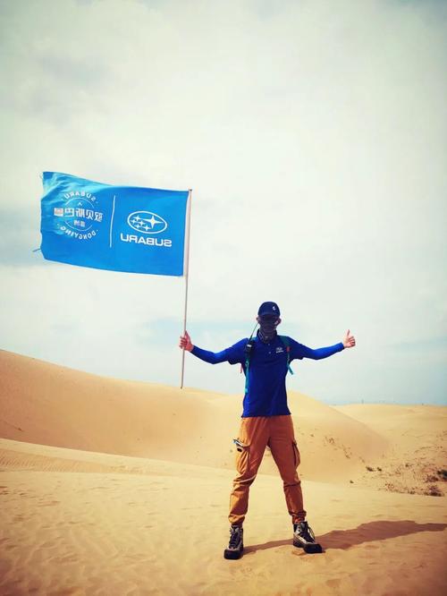 想出门透透气？试试“帮我出去走走”指令！