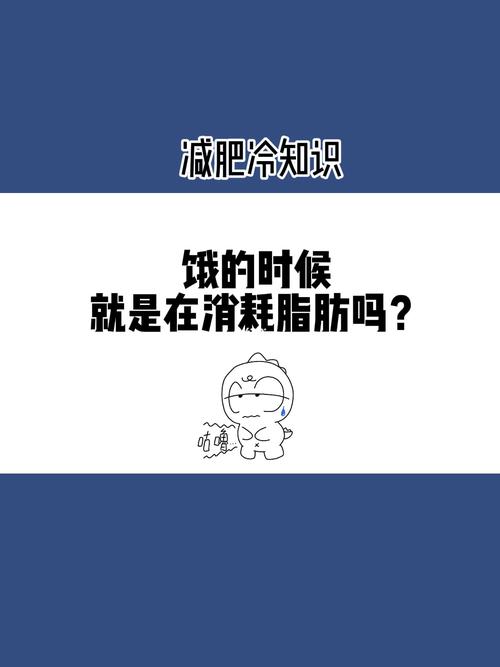 感觉饿了就是在消耗脂肪？减肥真相可不是这样！