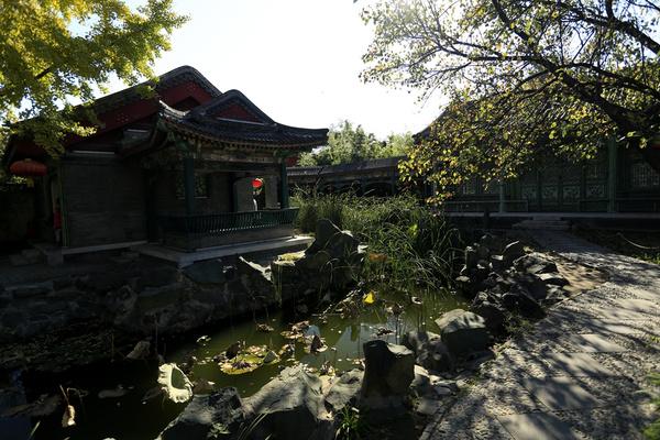 哪个版本的怡红院主人最好玩?版本大全给你答案!