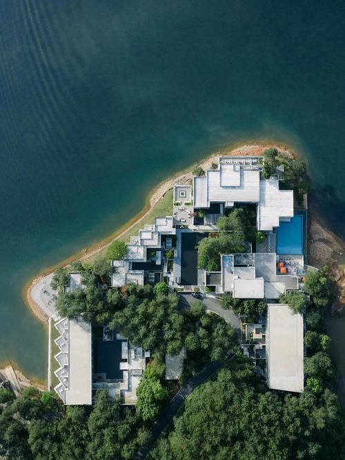 山楂岛app免费下载,功能详细介绍看这篇!