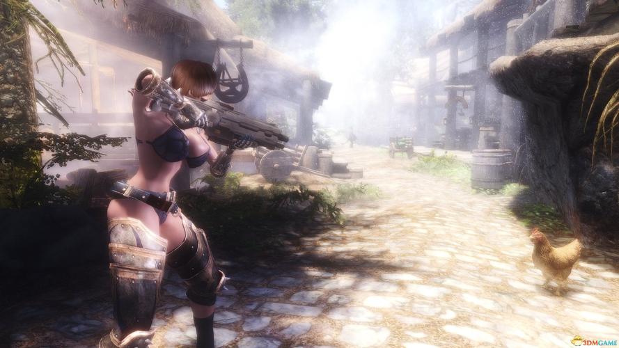 上古卷轴5全屏模式怎么调？详细步骤看这里！