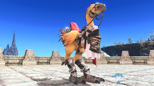 SOAV60FF游戏介绍：新手必看超详细攻略！