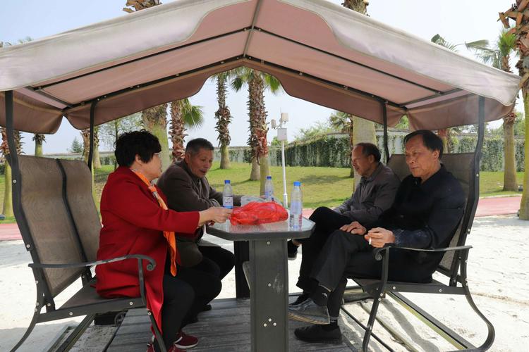 想玩仙凤驯兽师？这些热门版本你一定不能错过！