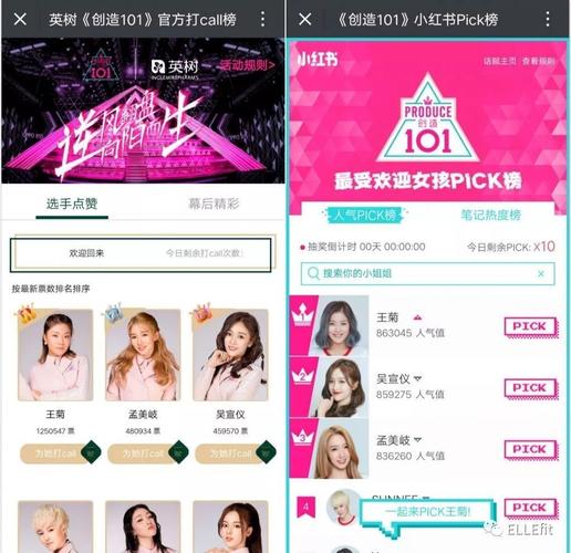 菊玩少女都有哪些版本？各版本详细对比分析！