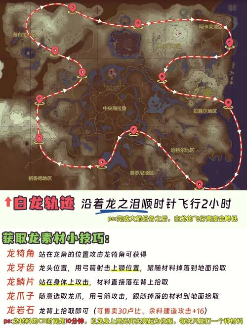 最新巨龙之魂副本入口指引，保姆级教程看这里！