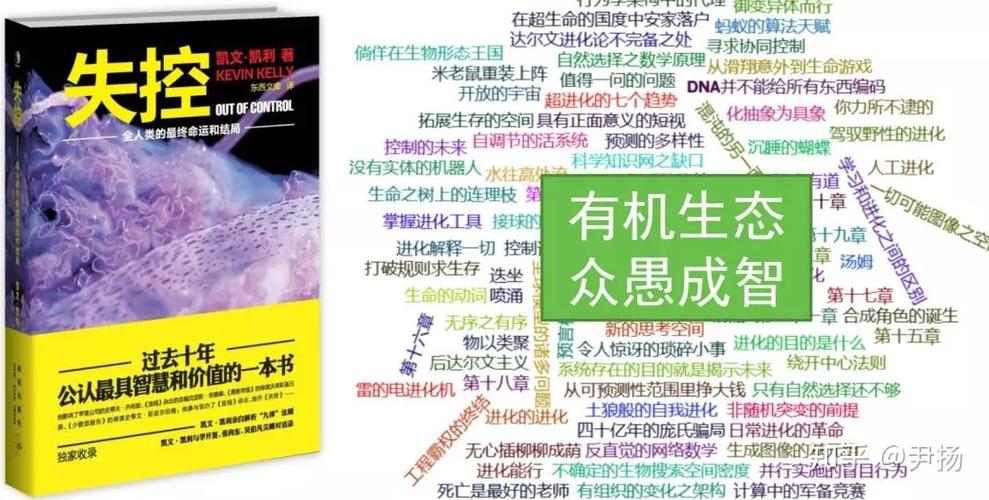凯利到底喜欢什么?看完这篇文章你就懂了!