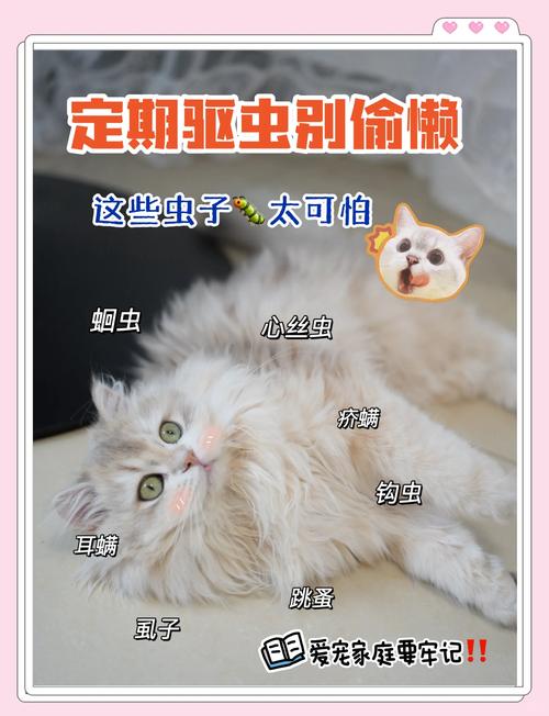 内部寄生虫游戏攻略：让你快速通关的秘籍！