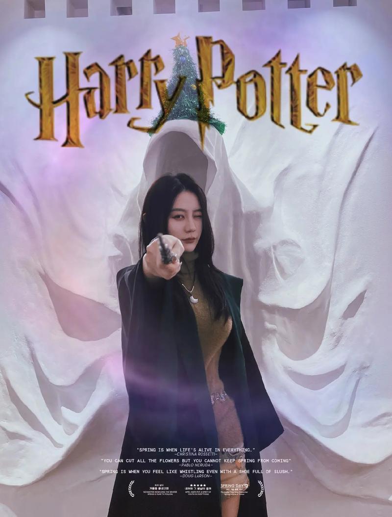 哈利波特与死亡圣器上下载,手机电脑都能看的方法!