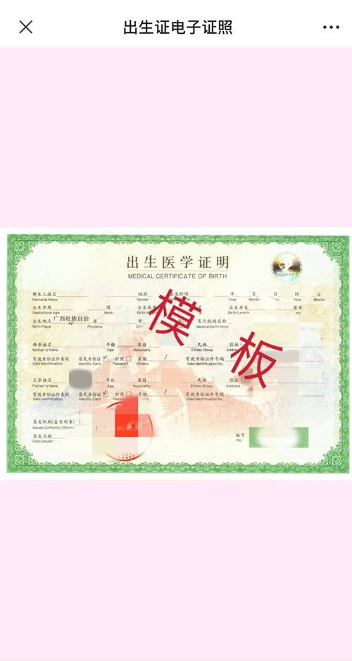 出生证明版本大全:手把手教你看懂各版本出生证明!