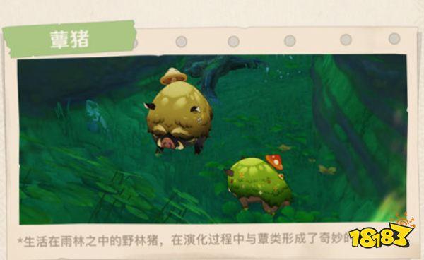 盘点原神里颜色很神奇的野林猪，你都抓到了吗？