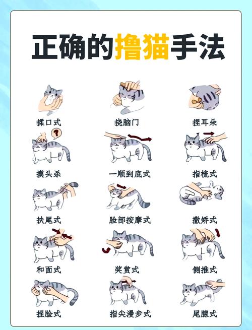 喵绅hcmoic.nya怎么用?详细教程一看就会!