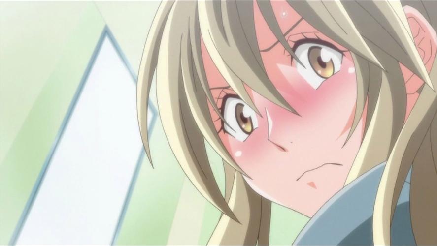 NTR后宫生活下载方法，小白也能轻松搞定！