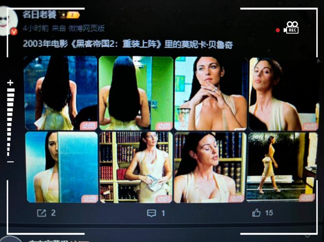 还在找时尚女王莫妮卡EP4 V8.0下载地址?看这篇就够了!