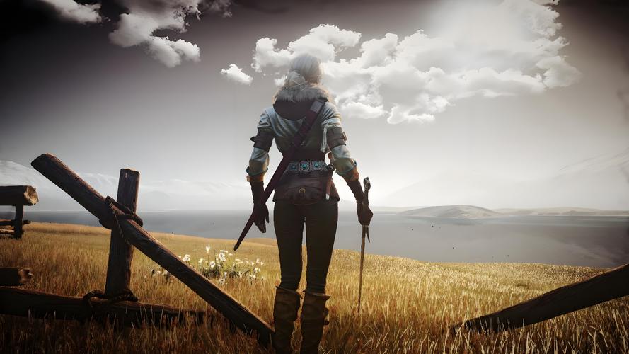 想玩巫师3狂猎魔改绅士游戏?这些细节要注意!