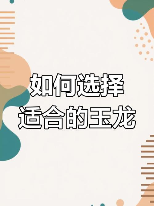 玉龙阵容如何搭配?平民玩家也能轻松上手!