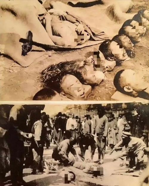 东北狂杀事件始末：还原残酷细节，揭秘犯罪动机