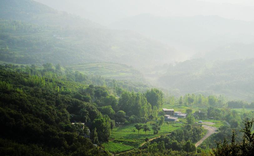 乡村生活快乐暑假版本大全来啦!总有一款适合你!