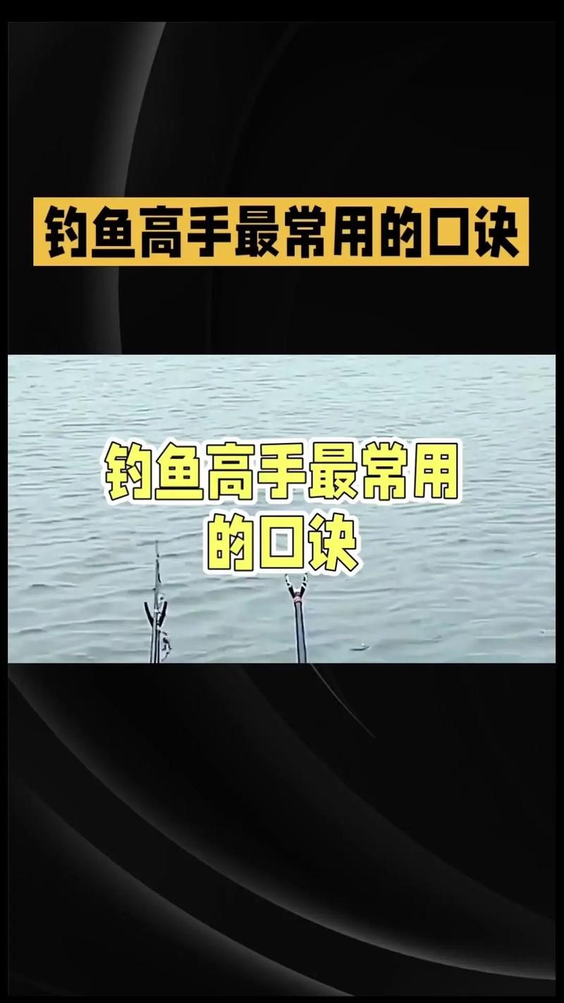 钓鱼技巧全攻略来了!学会这些你也能满载而归!