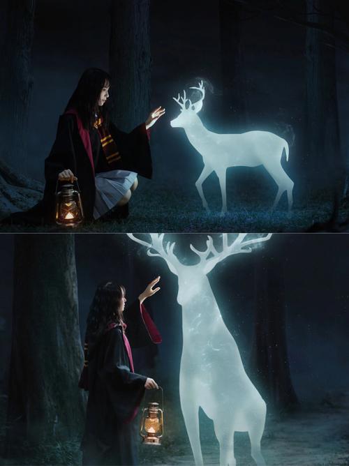 谁的守护神最厉害?哈利波特守护神一览表大揭秘!