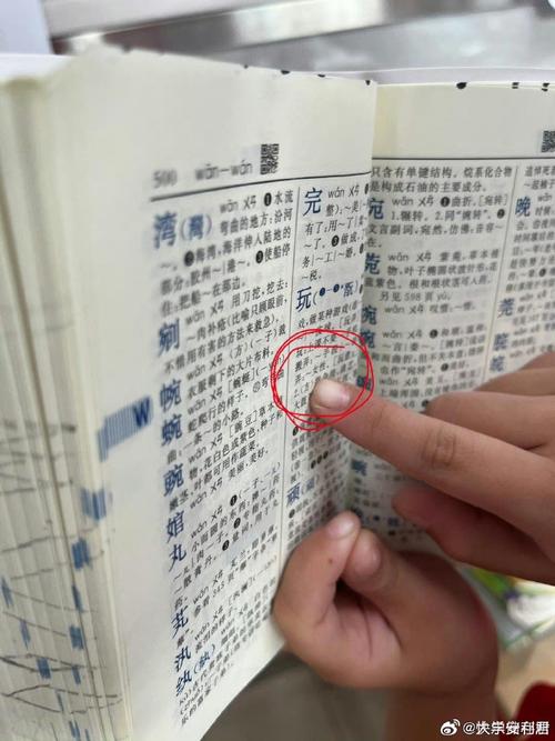 手机词典免费下载:权威解释,海量词汇