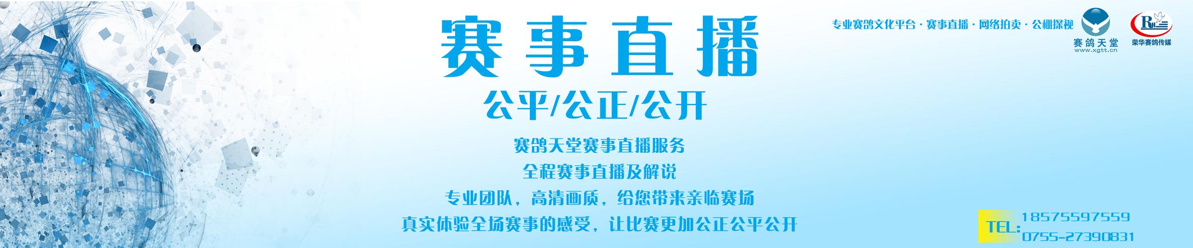 黑白直播APP：随时随地看体育赛事直播！