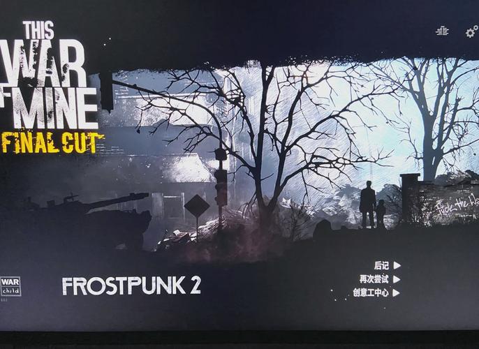 这就是我的战争:700万人体验的战争生存游戏