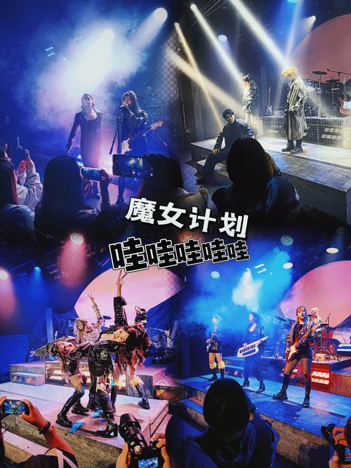 魔女秘药游戏详解:国产佳作,带你体验中世纪魔女生活