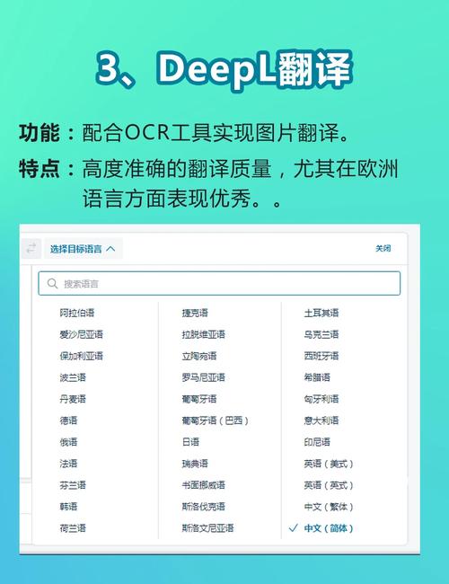 想快速翻译图片?试试这几个好用的拍照翻译神器